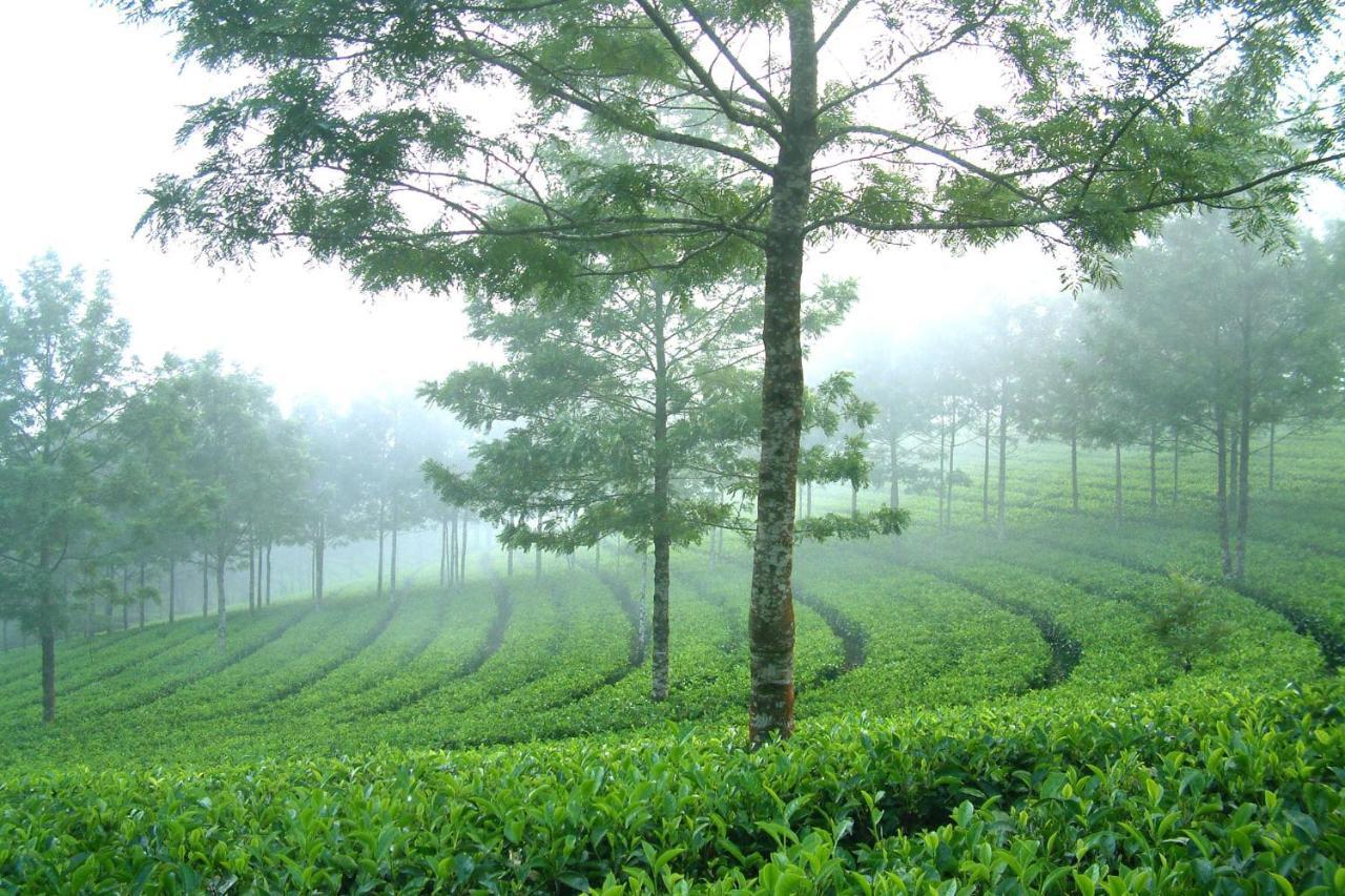 Mistica Munnar Apartment Anachal Екстериор снимка