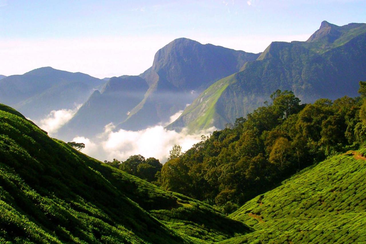 Mistica Munnar Apartment Anachal Екстериор снимка