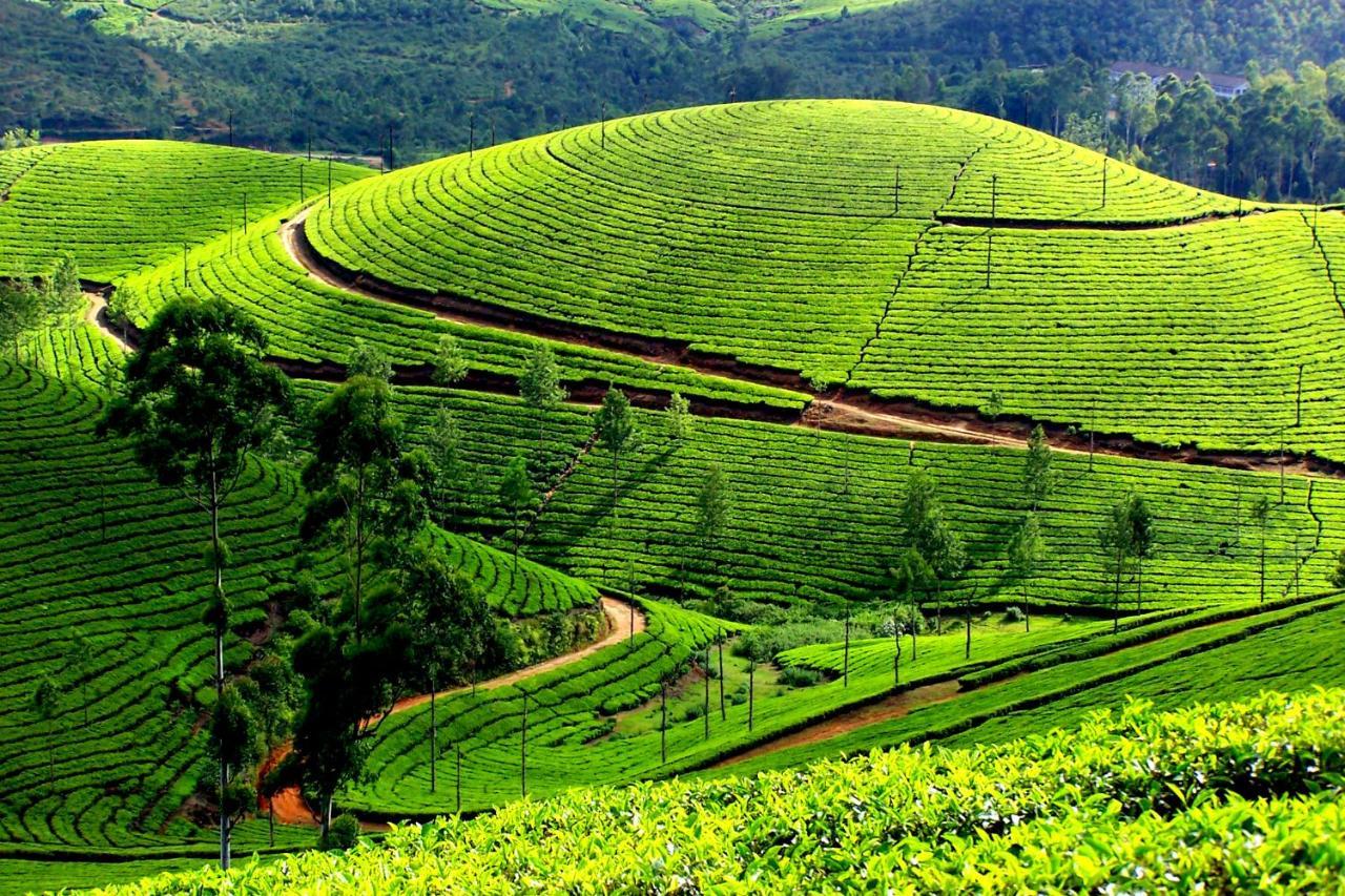 Mistica Munnar Apartment Anachal Екстериор снимка