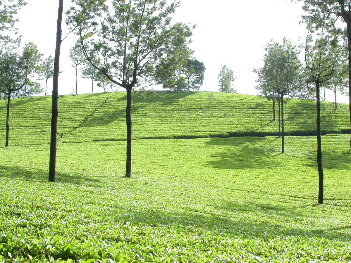 Mistica Munnar Apartment Anachal Екстериор снимка