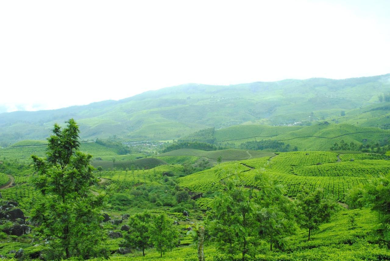 Mistica Munnar Apartment Anachal Екстериор снимка