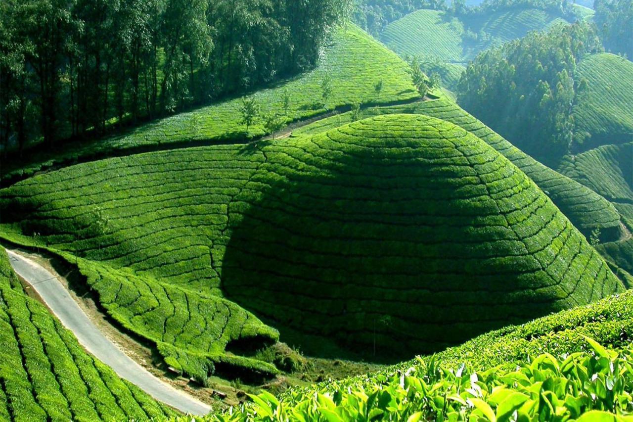 Mistica Munnar Apartment Anachal Екстериор снимка