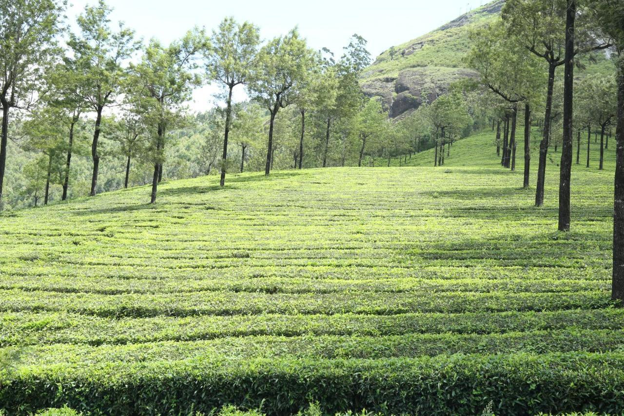 Mistica Munnar Apartment Anachal Екстериор снимка
